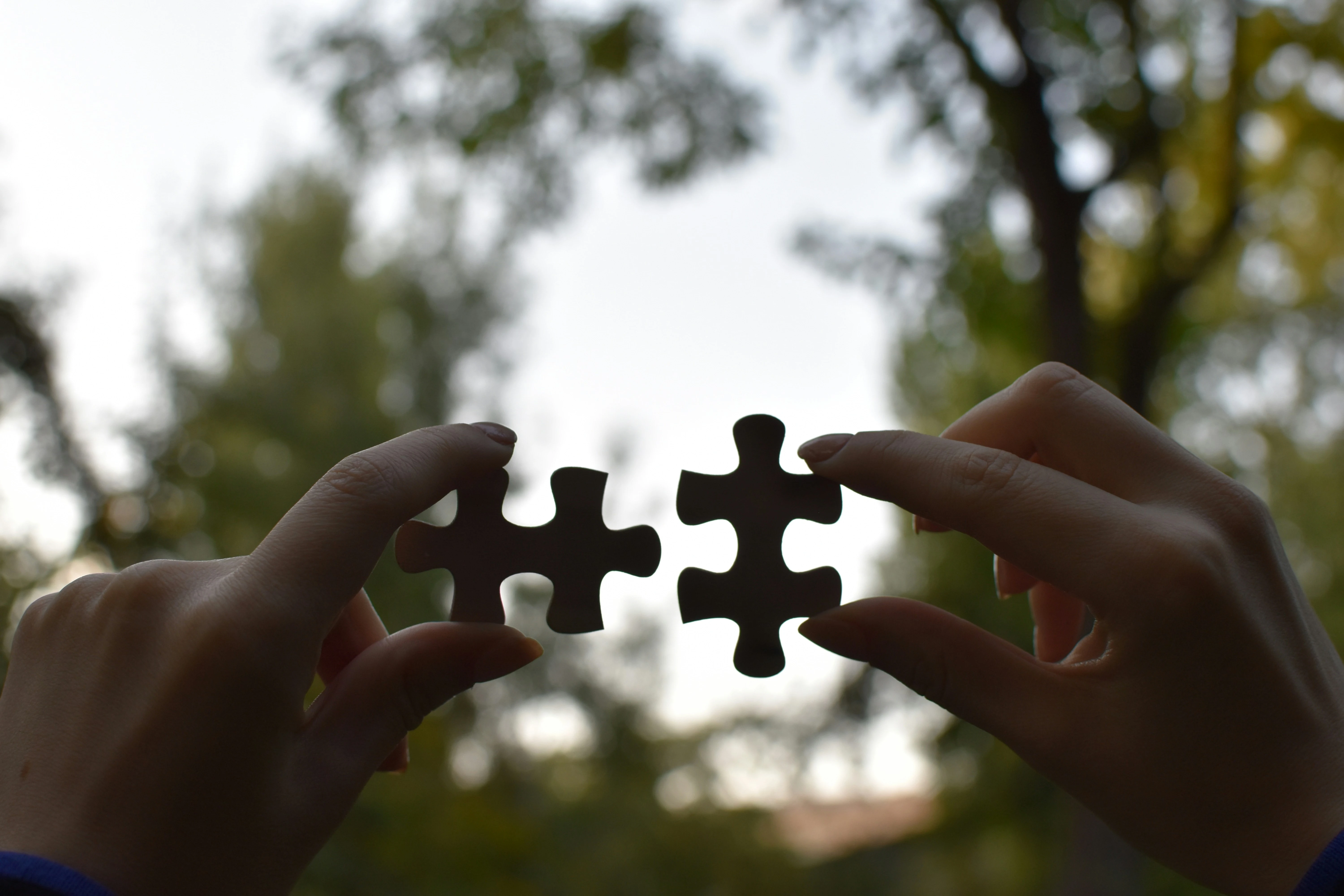 Partnerships & Investment